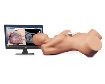 Ultrasound Simulator