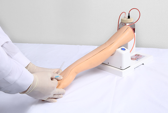Intravenous Injection Training Arm Model – Adult