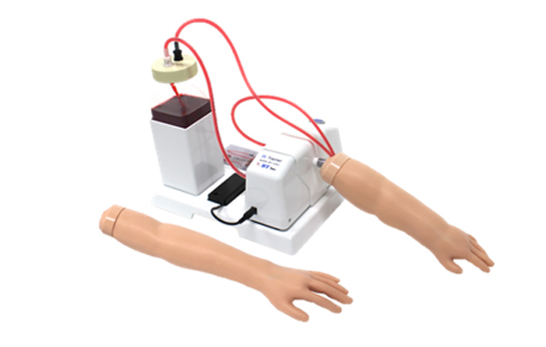 Intravenous Injection Training Arm Model : CSIV