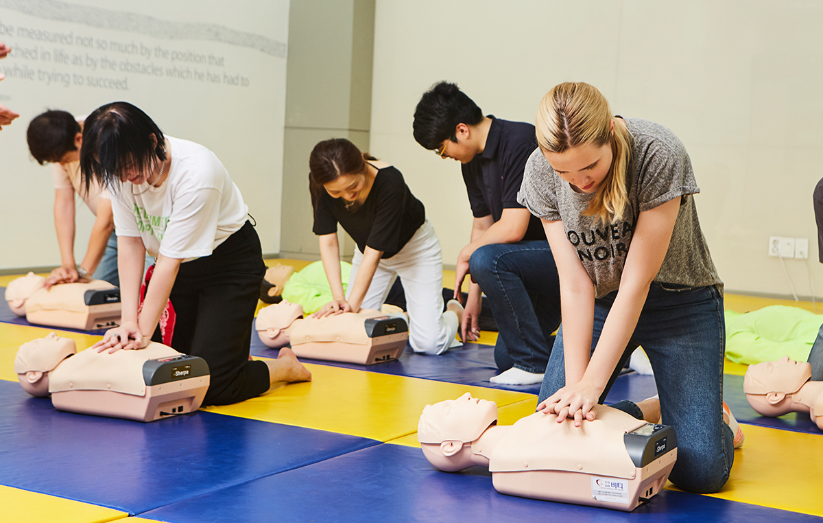 Self-training CPR model : SEEM
