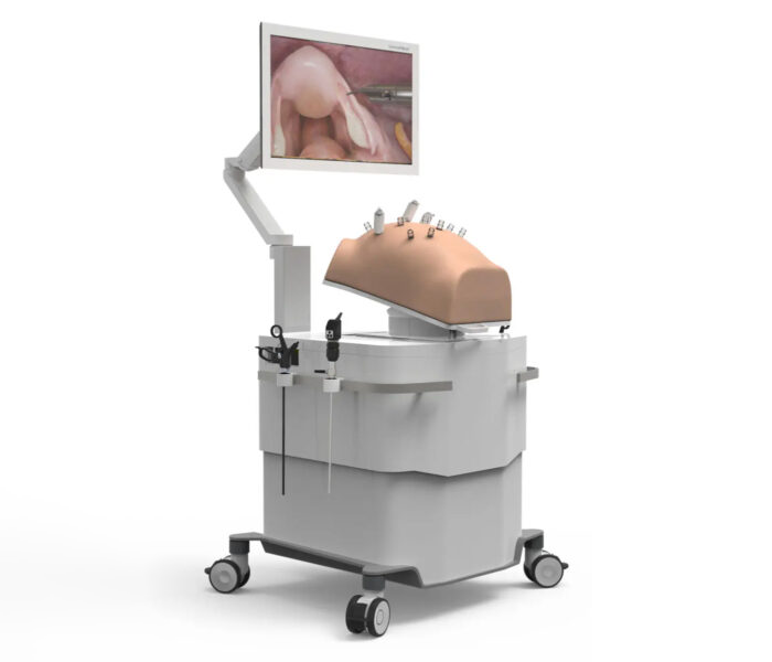 Surgical simulator