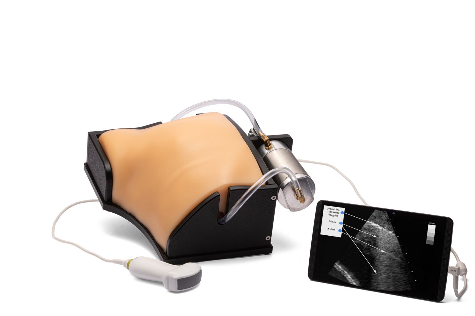 COVID-19 Lung Ultrasound Training Model : BPLUNG-19