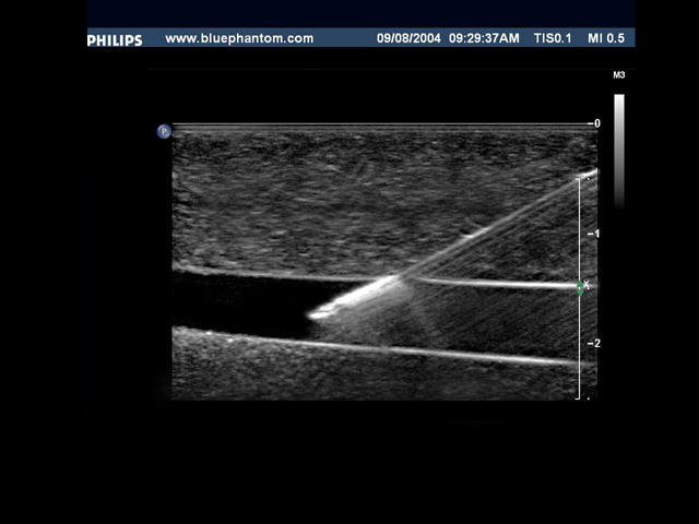 needle_ultrasound_vascular_access_training_model